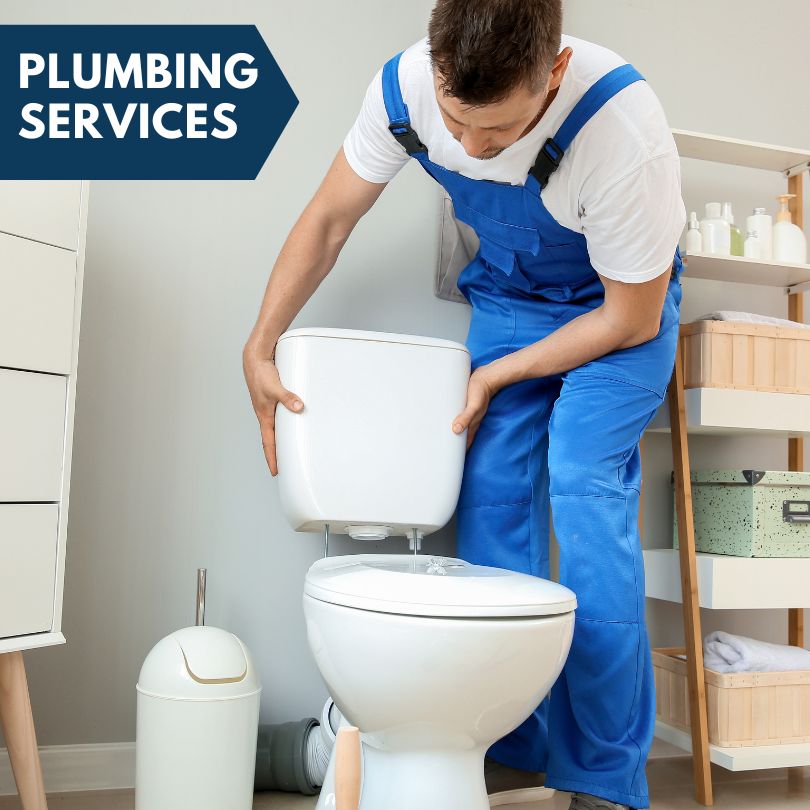 Plumbing Company in Dalton City, IL